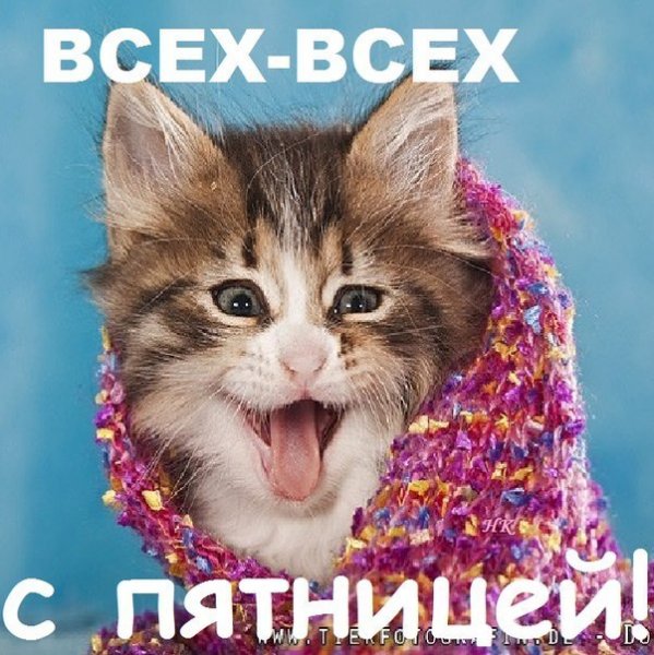Зимнее утро пятницы
