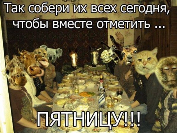 Планы на вечер пятницы