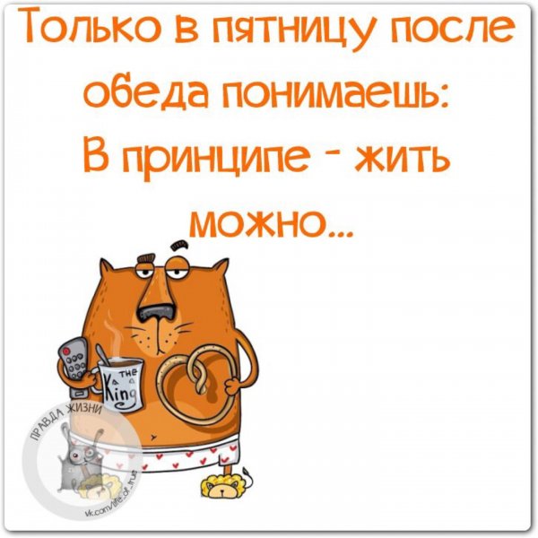 И только в пятницу после обеда