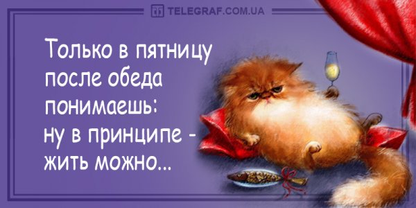 Застолье с шашлыком