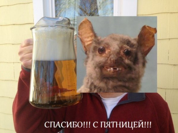 Пятничная подборка женщин