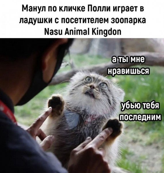 Сегодня пятница