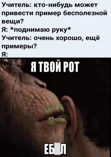 Сегодня точно не пьем медведи