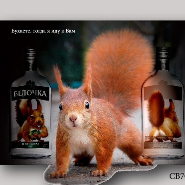 Белочка алкогольная