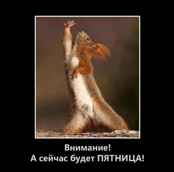 Уже пятница