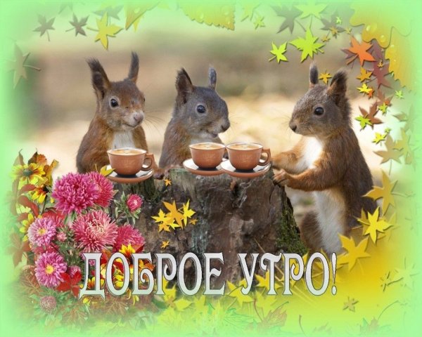 Доброе осеннее утро пятницы