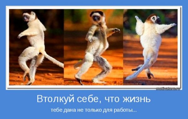 Смешной мотиватор на работу