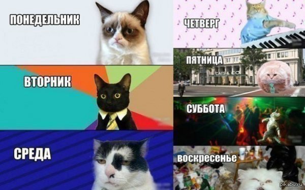Смешные картинки про дни недели