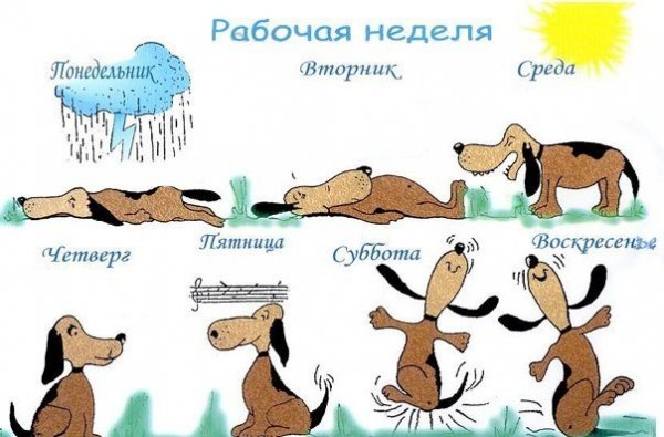 С рабочей неделей картинки прикольные
