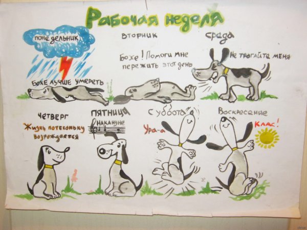 Рабочая неделя