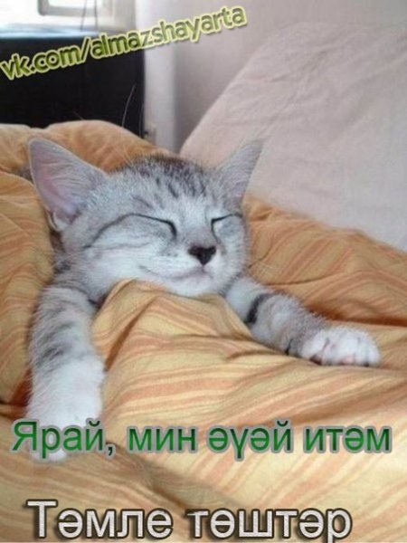 С пятницей девчонки