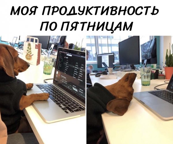 С пятницей коллеги