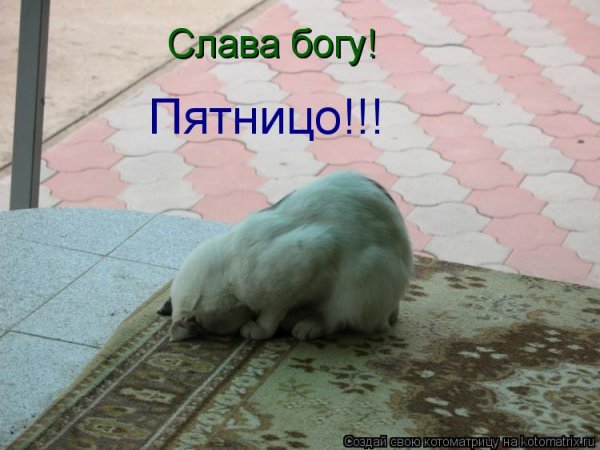 Наконец-то я дожил до пятницы
