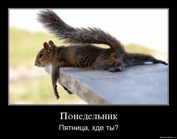 Мотиватор белка