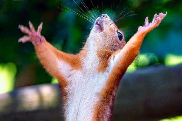 Скоро увидимся