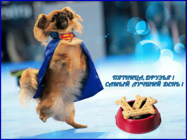Открытка последний рабочий день пятница