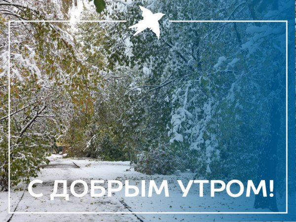 Доброе утро снегопад