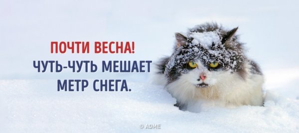 Снежное утро понедельника