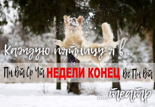 Зимней пятницы и хороших выходных