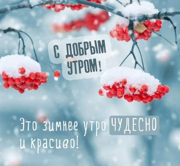 Доброе Снежное утро