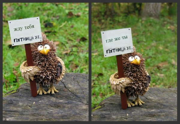 Где пятница