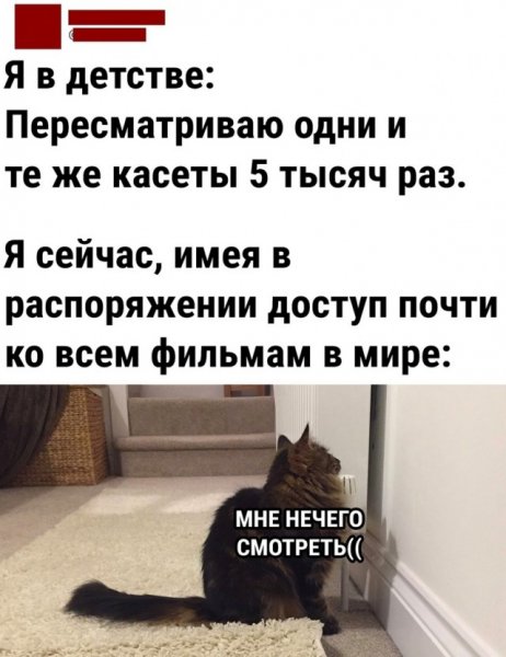 Пятничные приколы в картинках