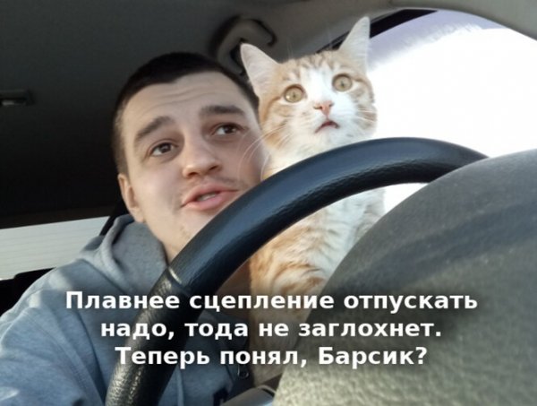 Открытки с пятницей прикольные