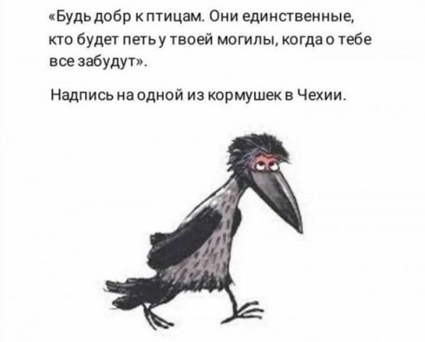 Девушка пятницы