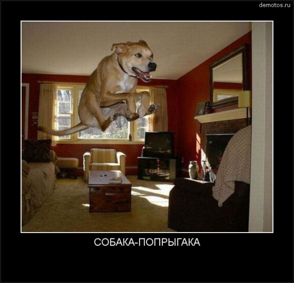 Пятница ржака