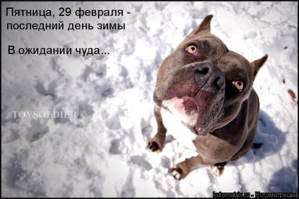 С пятницей февраля