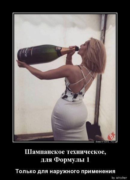 Бутылка шампанского прикол