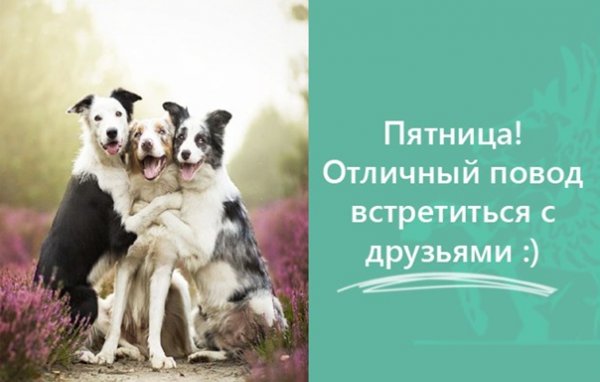 Встретимся в пятницу