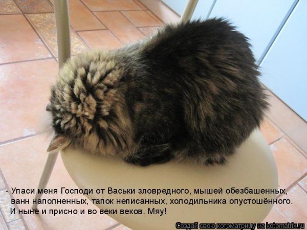 Спасибо я дожил до пятницы