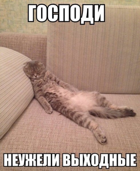 Наконец то выходные