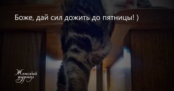 Дожили до пятницы