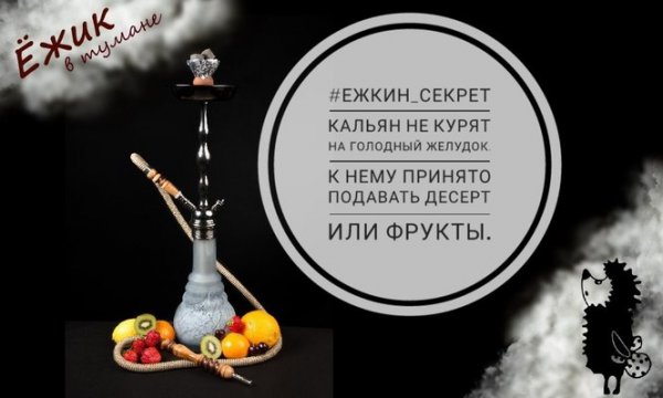 Афоризмы про кальян