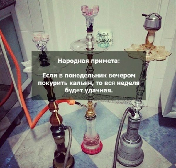 Афоризмы про кальян