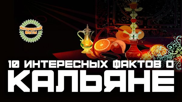 Интересные факты о кальяне