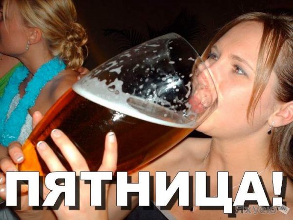 Пятница бухаем приколы