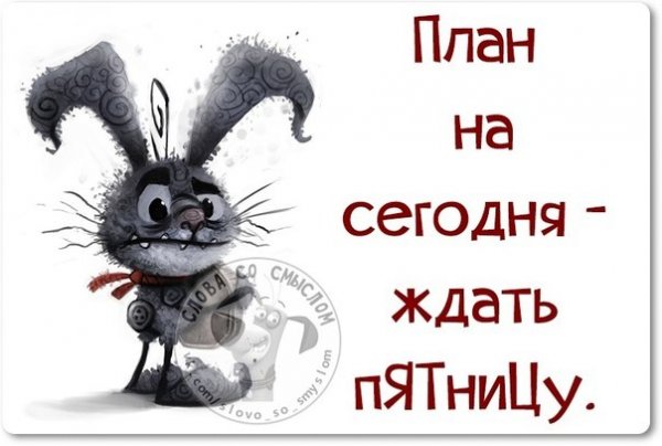 Планы на пятницу