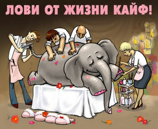 С днём рождения массажисту