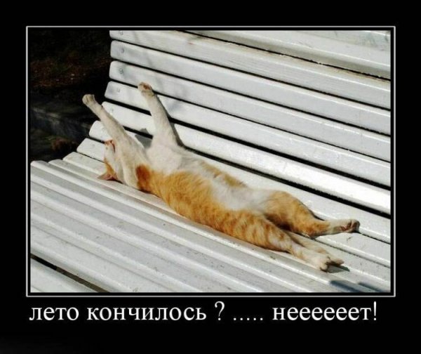 Лето кончилось