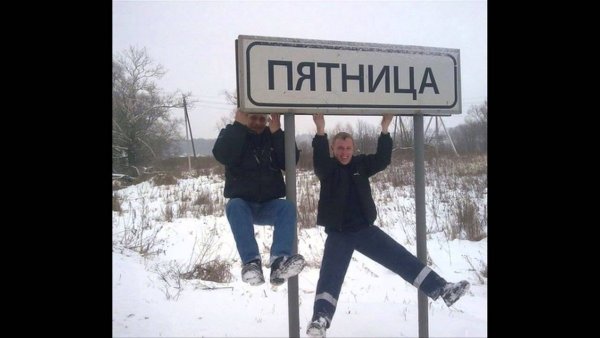 Ура пятница собачки