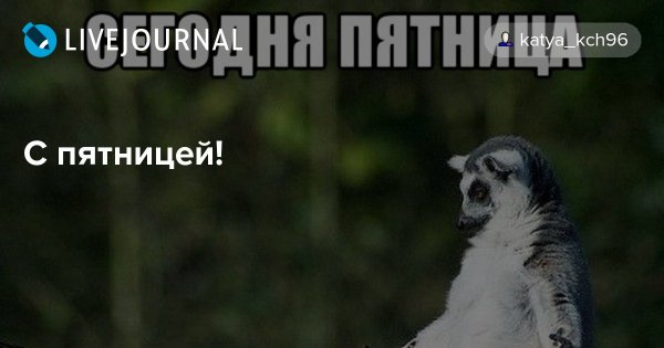 Пятница приколы