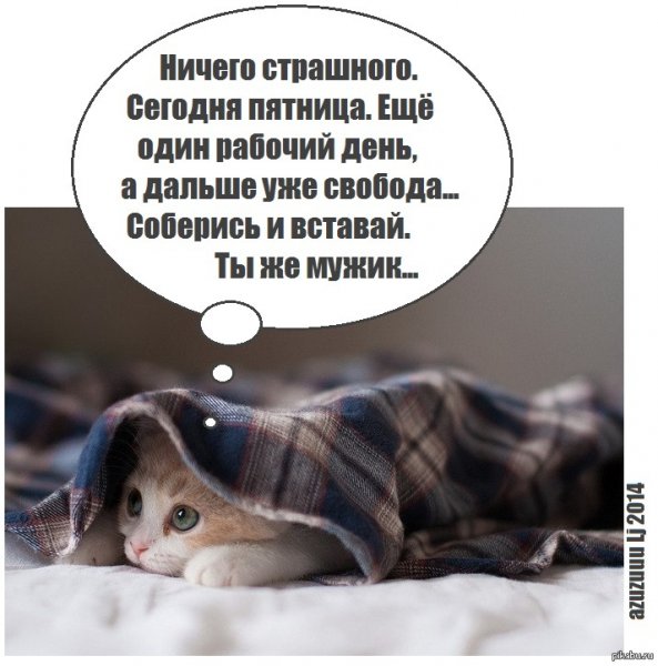 Утро пятницы