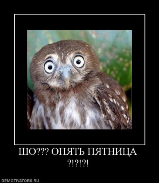 Опять пятница картинки