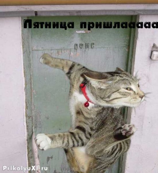 Смешное про пятницу