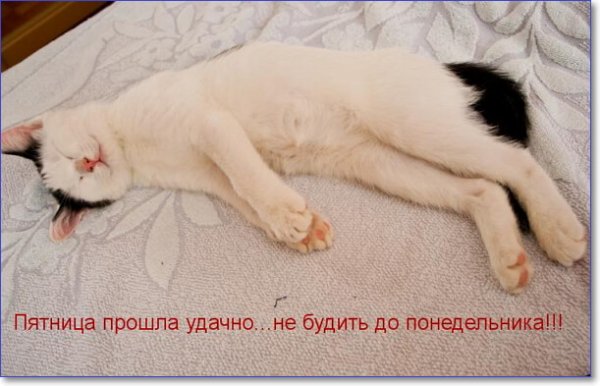 Ура наконец то пятница