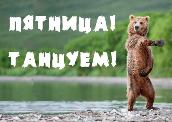 Пятница выпить
