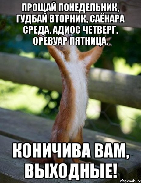 Прощай понедельник